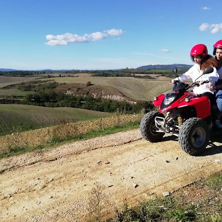 Appartamento Crete Senesi Castelnuovo Berardenga Esterno foto
