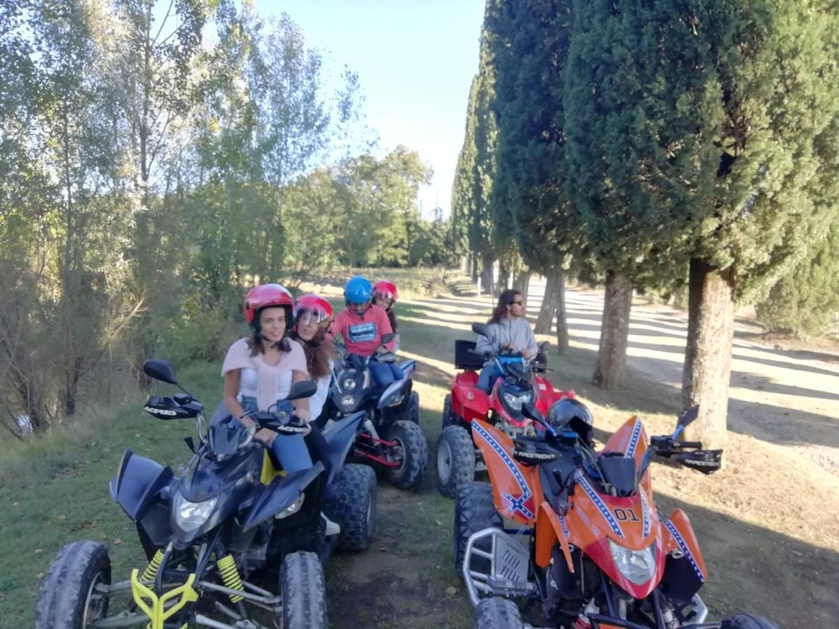 Appartamento Crete Senesi Castelnuovo Berardenga Esterno foto