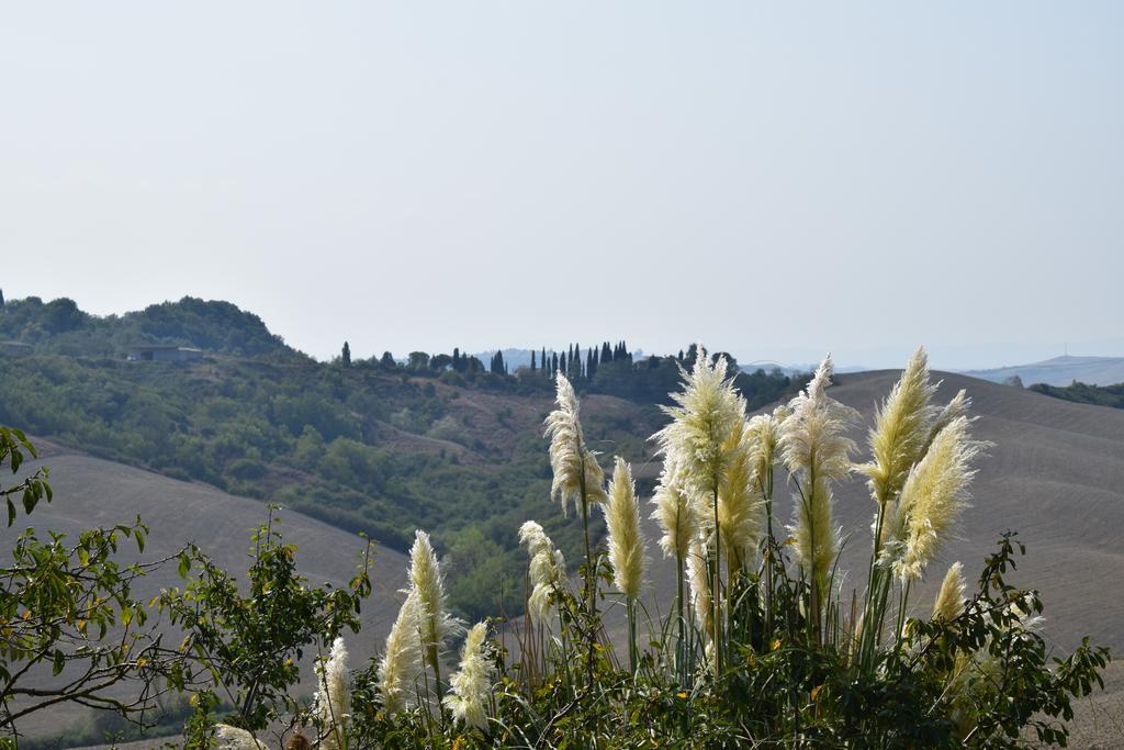 Appartamento Crete Senesi Castelnuovo Berardenga Esterno foto