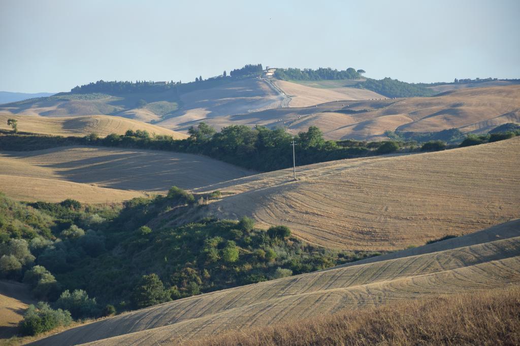 Appartamento Crete Senesi Castelnuovo Berardenga Esterno foto