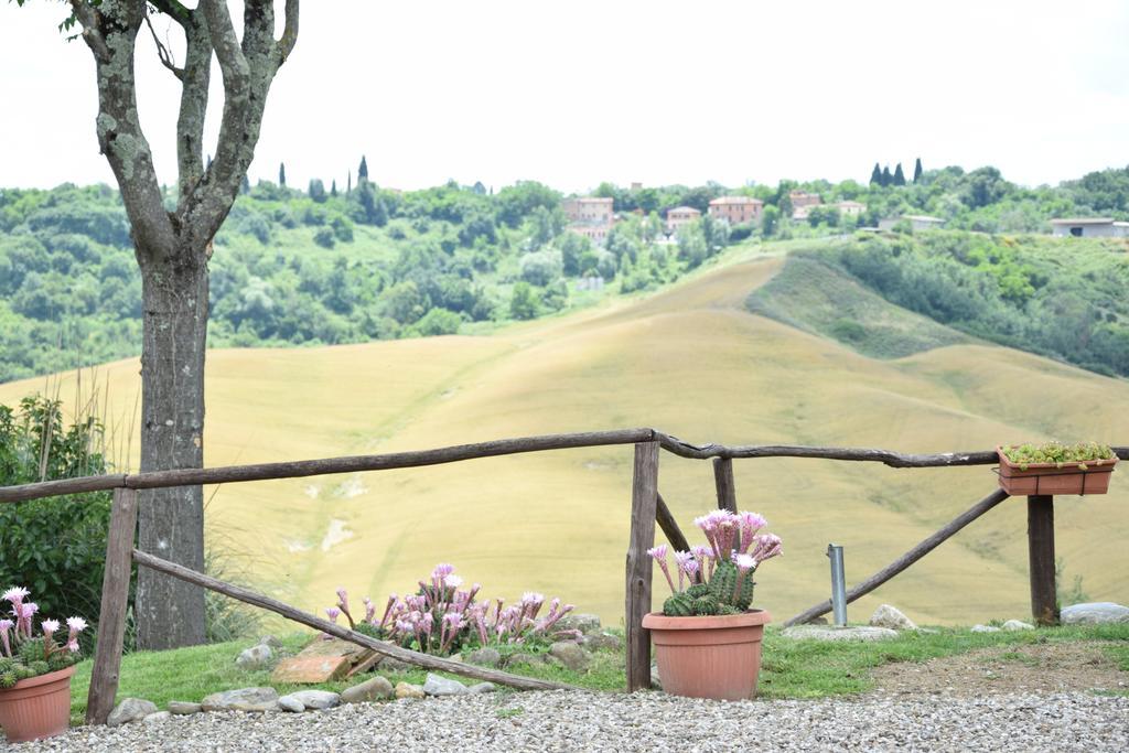Appartamento Crete Senesi Castelnuovo Berardenga Esterno foto