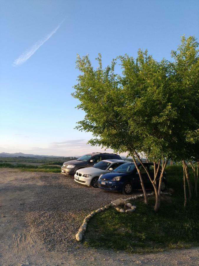 Appartamento Crete Senesi Castelnuovo Berardenga Esterno foto