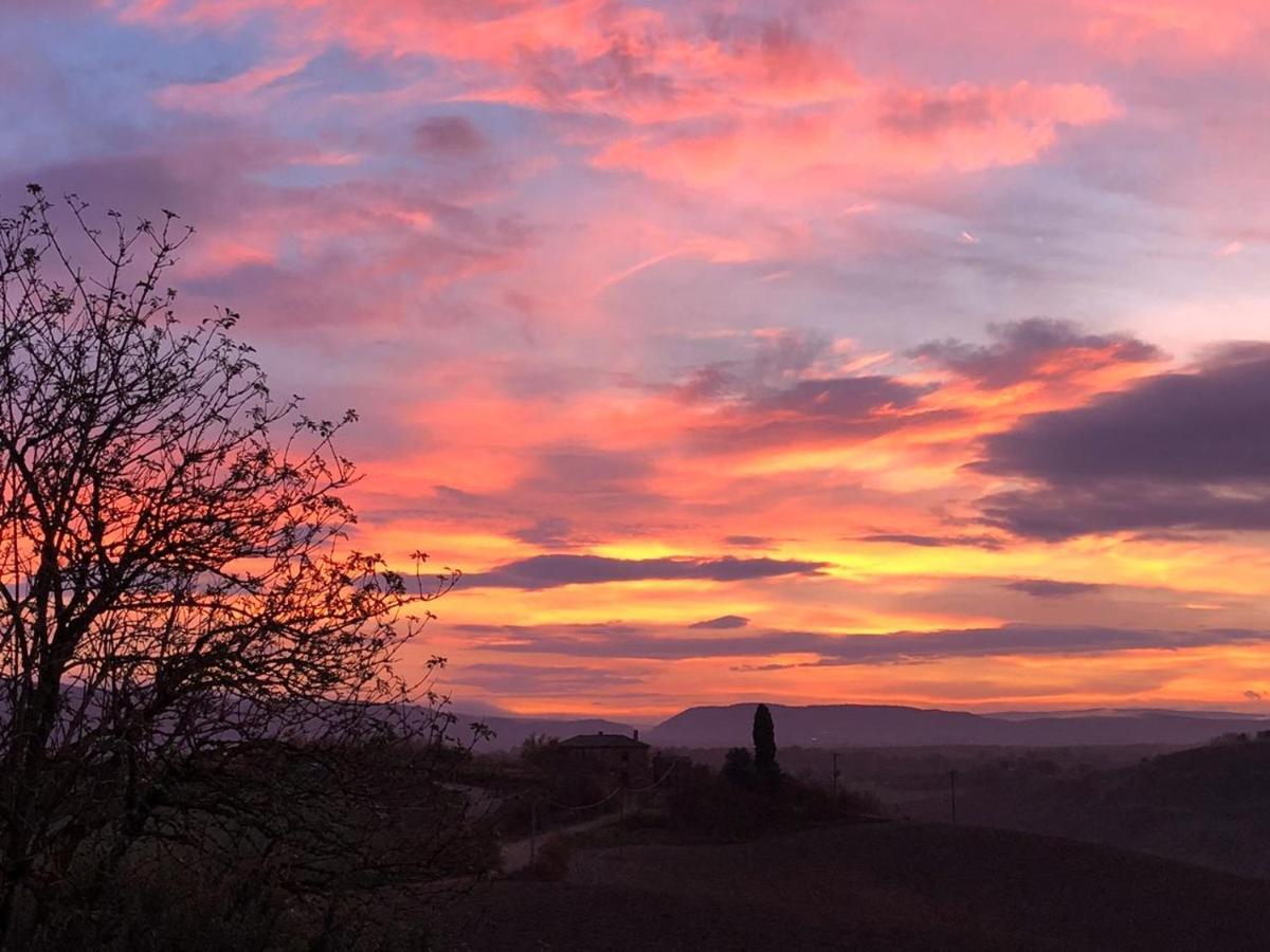 Appartamento Crete Senesi Castelnuovo Berardenga Esterno foto
